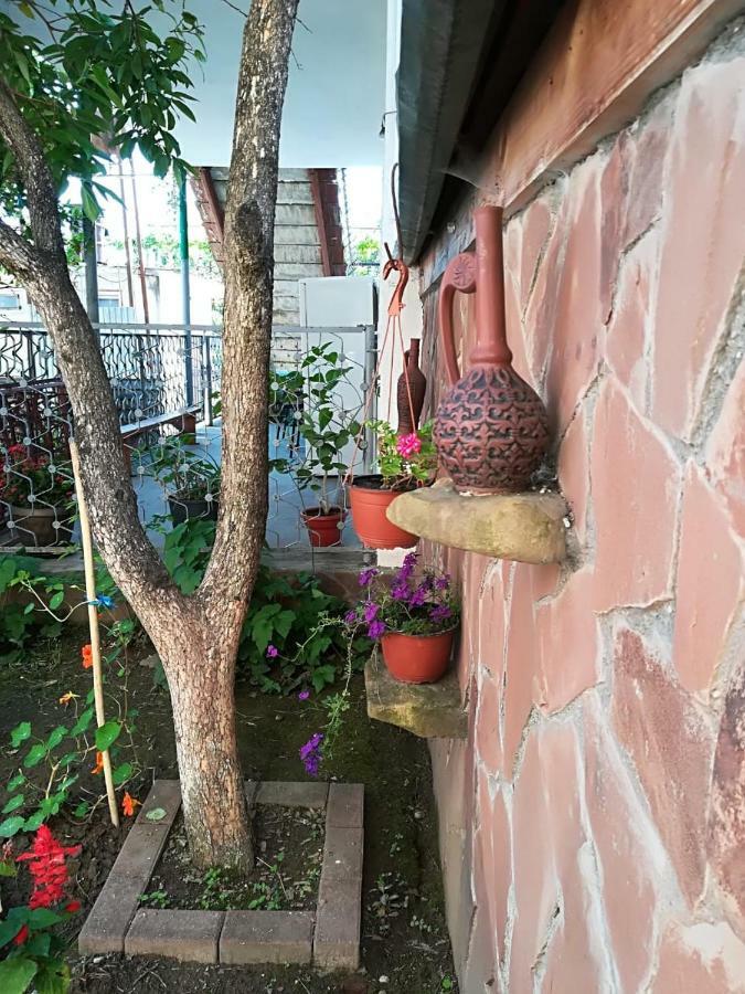 Runo Guest House Gagra Luaran gambar