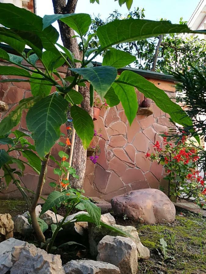 Runo Guest House Gagra Luaran gambar