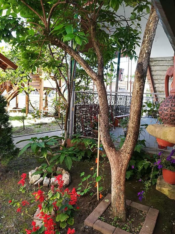 Runo Guest House Gagra Luaran gambar