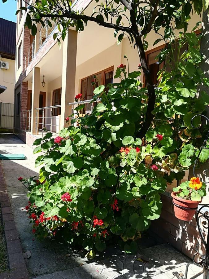 Runo Guest House Gagra Luaran gambar